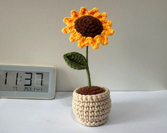 Miniature Sunflower Pot